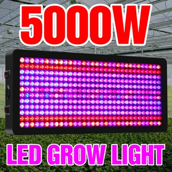 LED Full Spectrum Taim Kasvada Lamp, 220V LED Füto Lamp 2000W 3000W 4000W 5000W LED Quantum Juhatuse Hüdropooniline Istutamine Kerge